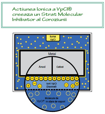 Actiune molecule VpCI